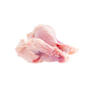 PILEĆI BATAK OD KRILA