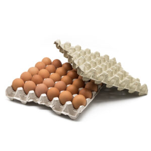 SVJEŽA JAJA A KLASA RAZRED M