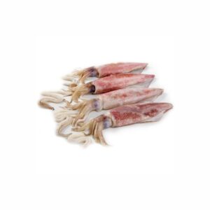 LIGNJA PATAGONIKA C4LL