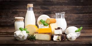 Mliječni proizvodi i jaja