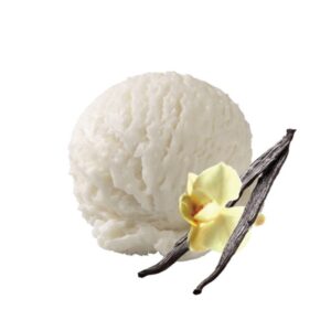 BANJICA VANILIJA 4,7L