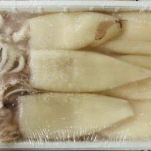 LIGNJA PATAGONIKA OČIŠĆENA TUBE I KRAKOVI